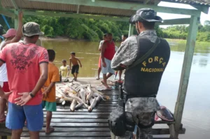 Força Nacional na Amazônia (Foto: Acervo MJSP).
